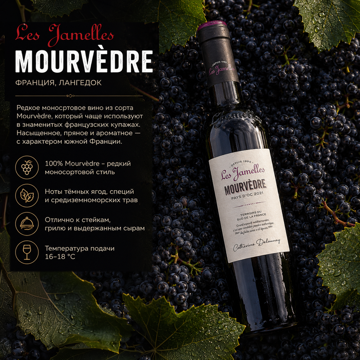 Редкое моносортовое Mourv&egrave;dre - сорт, который чаще используют в знаменитых французских купажах, а здесь он раскрывает свой характер самостоятельно. Насыщенное красное вино с нотами тёмных ягод, специй и средиземноморских трав. Отлично подходит к стейкам, мясу на гриле и выдержанным сырам.